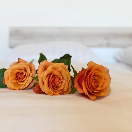 Schoepke 3* باد ستافلستين